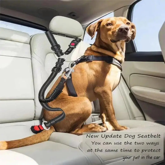 Laisse de sécurité pour chien avec attache voiture – Promenade et transport sécurisé