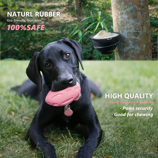 Jouet de mastication ultra résistant Bear 2.0 – Spécial chiens destructeurs